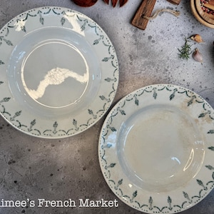 May include: Two white ceramic plates with a decorative green leaf and vine border. The plates have a slightly distressed appearance, suggesting a vintage or antique style. The plates are on a gray surface.