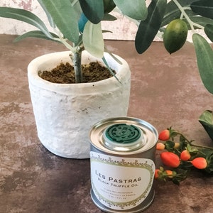 May include: A small silver can of Les Pastras Black Truffle Oil with a green lid. The can is sitting on a brown surface next to a potted olive tree with green olives.
