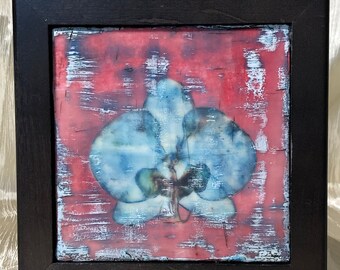 Blaue Orchidee