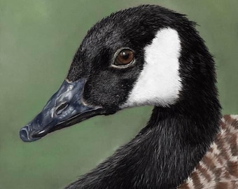 Original Canada Goose Pastel Painting - Handmade Realistic Wildlife Art