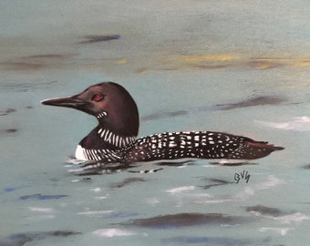 Original Loon Pastel Painting - Handmade Realistic Wildlife Art -