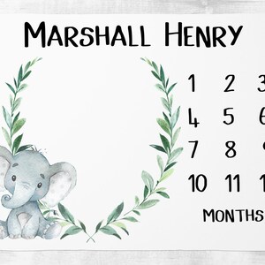 Safari Baby Milestone Blanket Month Blanket Growth Tracker Fleece Blanket Baby Shower Elephant Baby Newborn Gift Safari Animals Blanket