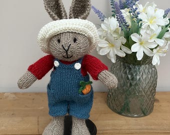 Hand knitted Bunny in Blue Dungarees, Red Jumper and Hat.