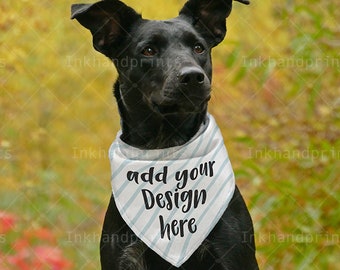 Download Pet Bandana Mockup Etsy