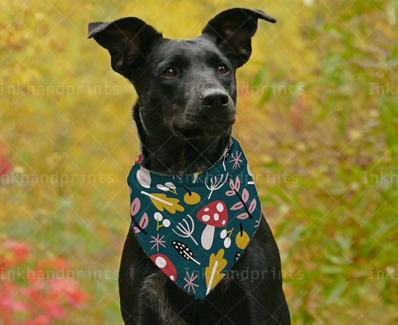 Download JPG PSD pet bandana mockup flat template mockupDog Dye | Etsy