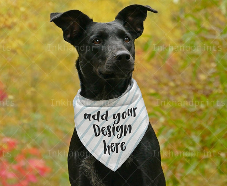 Download JPG PSD pet bandana mockup flat template mockupDog Dye | Etsy