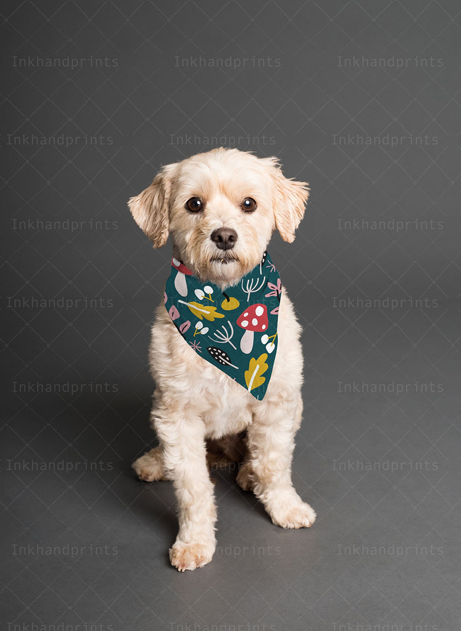 Download JPG PSD pet bandana mock-upflat template Dye sublimation | Etsy