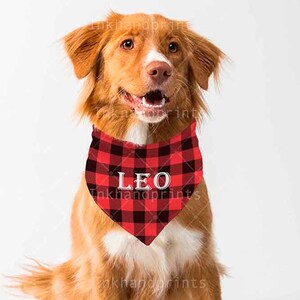 Download JPG PSD pet bandana mock-upflat template Dye sublimation ...