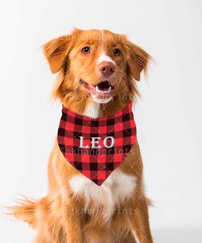 Download JPG PSD pet bandana mock-upflat template Dye sublimation ...