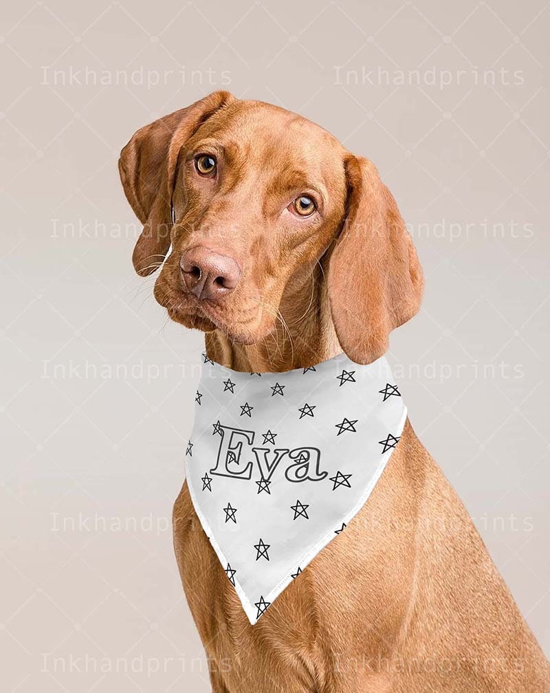 JPG PSD Pet Bandana Mock-upflat Template Dye Sublimation | Etsy