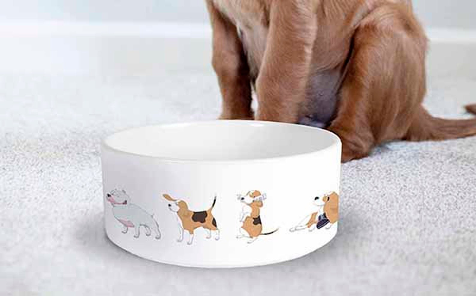 Download PSD JPG sublimation ceramic pet bowl mockup Dye ...