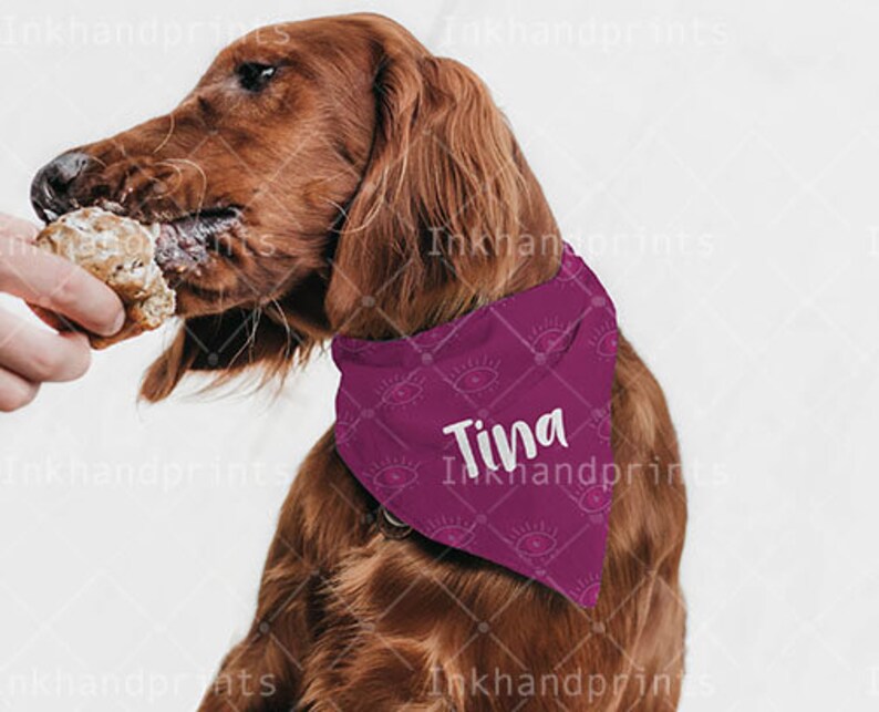 Download JPG PSD pet bandana mockupDye sublimation flat template | Etsy