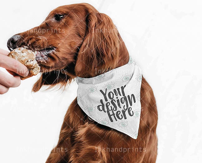 Download Jpg Psd Pet Bandana Mockupdye Sublimation Flat Template Etsy