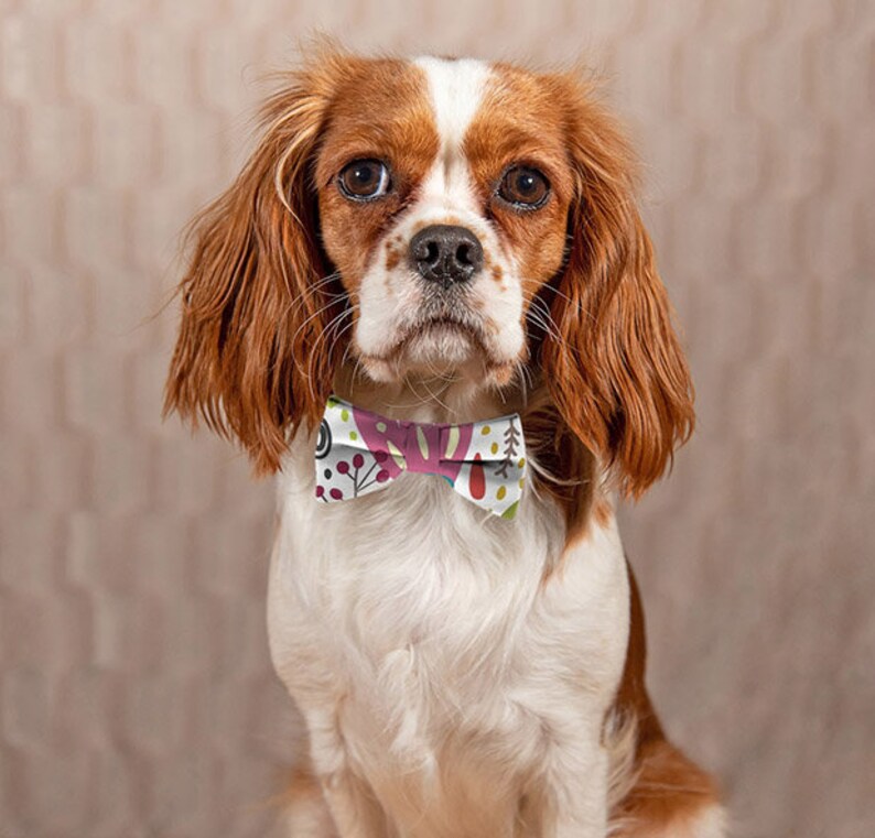 Download PSD Dye sublimation pet Bow Tie mockup flat template ...