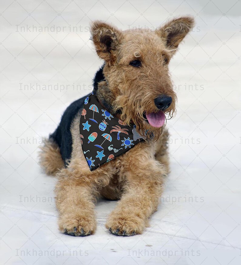 Download JPG PSD pet bandana mock-upflat template Dye sublimation ...