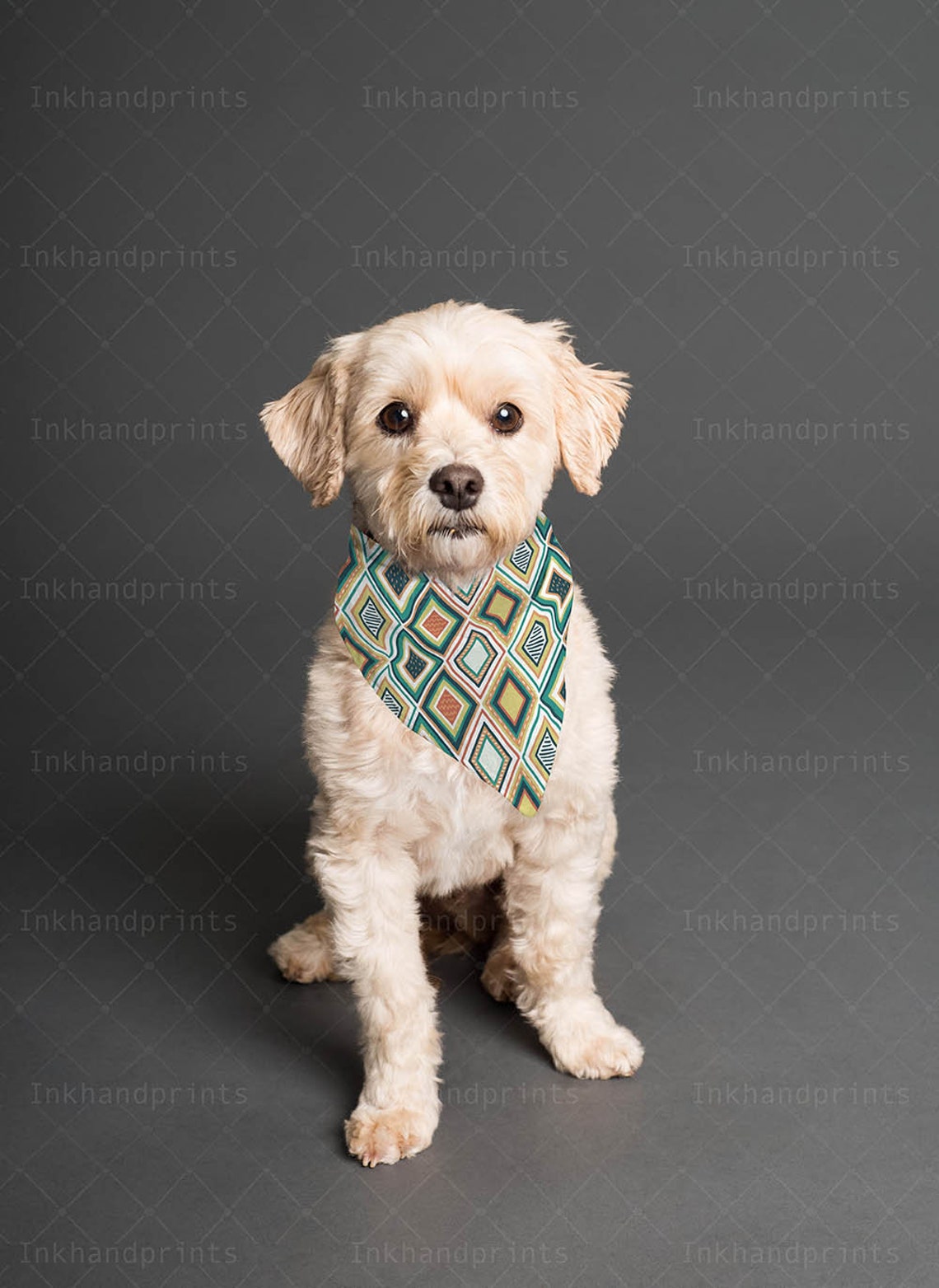 Download JPG PSD pet bandana mock-upflat template Dye sublimation ...