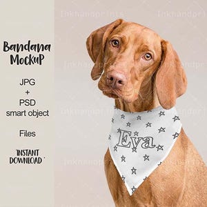 JPG + PSD pet bandana mock-up,flat template Dye sublimation mockup, Dog Mock-up,PSD file + smart object,Sublimation Dog blank Bandana Mockup