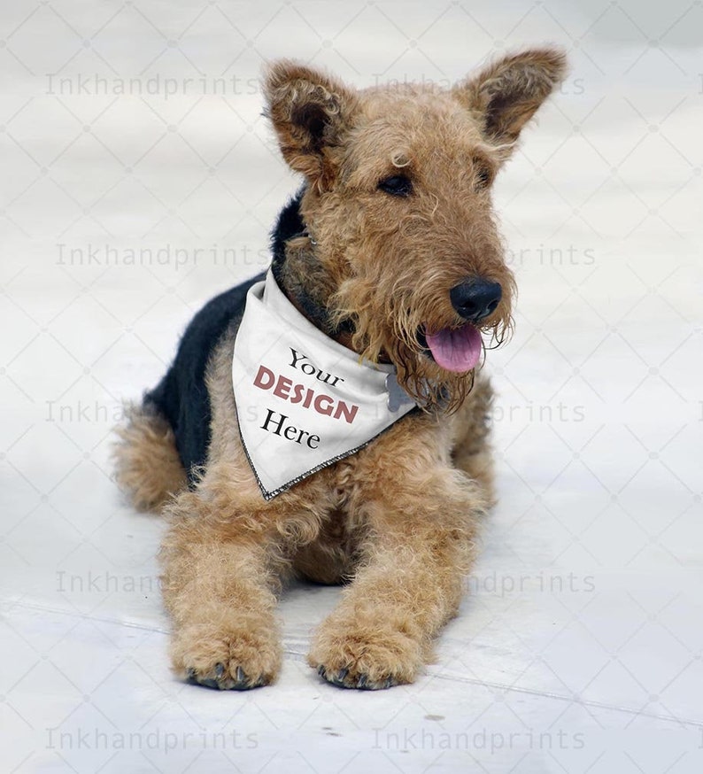 Download JPG PSD pet bandana mock-upflat template Dye sublimation ...
