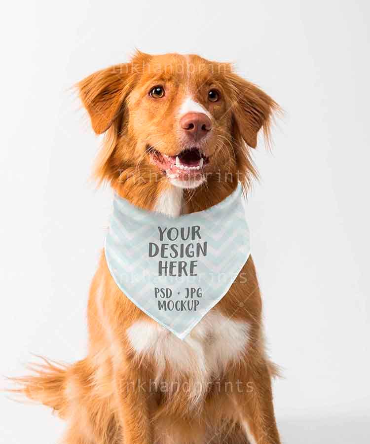 JPG PSD Pet Bandana Mockupflat Template Dye Sublimation Etsy