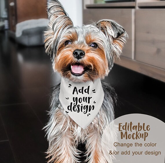 Download Jpg Psd Pet Bandana Mock Upflat Template Dye Sublimation Etsy