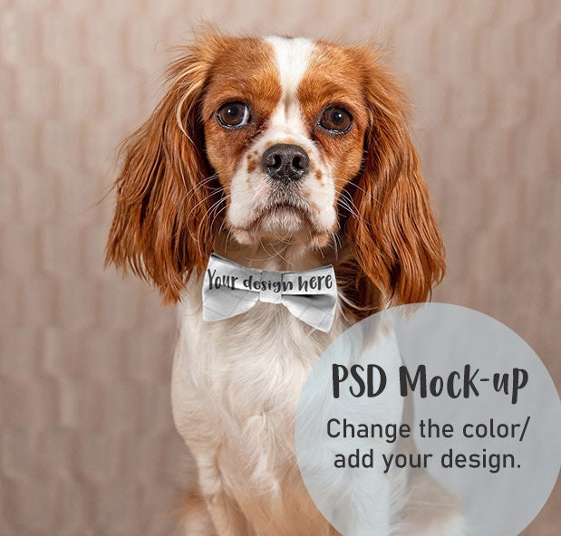 Download Psd Dye Sublimation Pet Bow Tie Mockup Flat Template Mockup Etsy