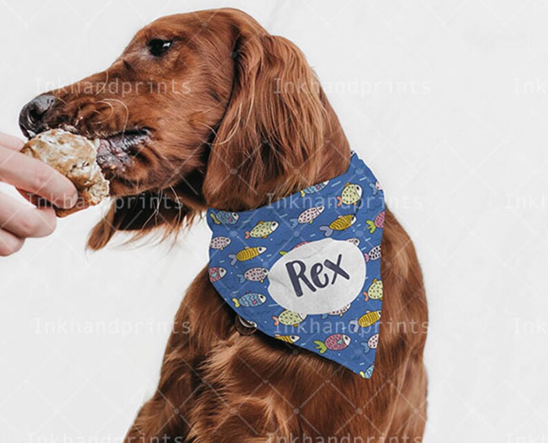 Download JPG PSD pet bandana mockupDye sublimation flat template | Etsy