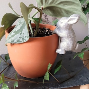 May include: A silver rabbit figurine climbing up the side of a terracotta pot with a green leafy plant growing inside.