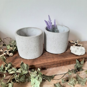 May include: Two cylindrical light grey concrete planters with a porous, textured surface. One planter contains a small sprig of purple lavender. The planters are arranged on a wooden surface alongside decorative metal hardware and green ivy.