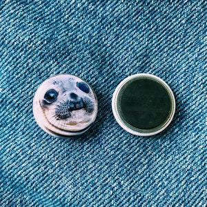May include: Two round magnets, one with a seal's face and the other with a black surface.