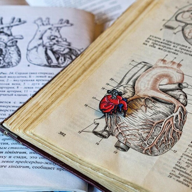 Heart Enamel Pin, Anatomical Heart Enamel Pin, Enamel Pin Badge, Doctor ...