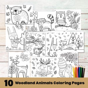 Printable Woodland Coloring Pages for kids, Kids Animal Activity, Woodland Animals Kids Coloring Sheets, Woodland Creatures Kids Party Games