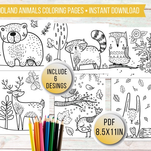 860 Collections Coloring Pages Woodland Animals  Free