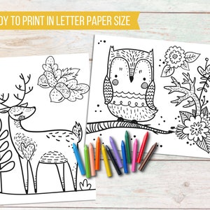 Printable Woodland Coloring Pages for kids, Kids Animal Activity, Woodland Animals Kids Coloring Sheets, Woodland Creatures Kids Party Games image 5