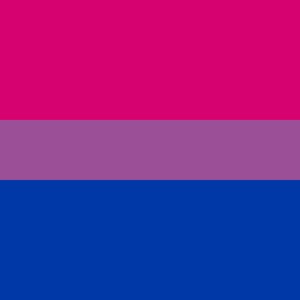 Puede incluir: Una bandera tricolor horizontal con tres bandas iguales de rosa, lavanda y azul.