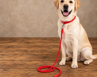 Rope Dog Leash 5ft, Braided Polypropylene Dog Lead with Clip, Strong Lightweight Leash for Small Medium Dogs, Red Black Pet Gift