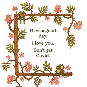 May include: A whimsical illustration of a floral frame with two frogs sitting on branches. The text inside the frame reads "Have a good day. I love you. Don't get Covid."