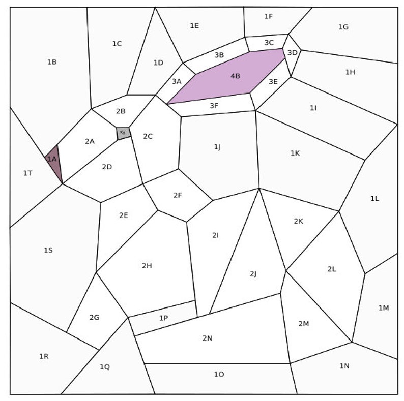 May include: A black and white diagram of a geometric shape divided into 24 sections. Each section is labeled with a number and a letter. The center section is labeled "4B" and is colored purple.
