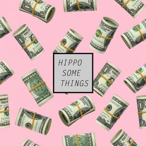 May include: A pink background with scattered rolls of US dollar bills secured with yellow rubber bands. A gray square in the center contains the text "HIPPO SOME THINGS" in black.