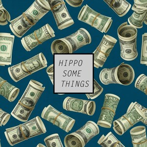 Op de afbeelding: Gerolde honderd dollar biljetten vastgezet met elastiekjes verspreid op een teal achtergrond. Een vierkant met de tekst "HIPPO SOME THINGS" staat in het midden.