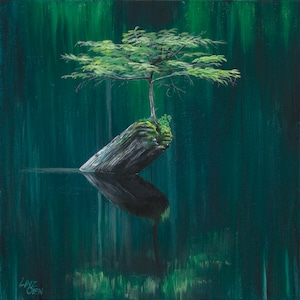 Arbre au lac de fée. Carte d'art de 5 x 5 po de la peinture originale du célèbre arbre du lac Fairy de Lindsay Oien à Port Renfrew, C.-B. Canada.