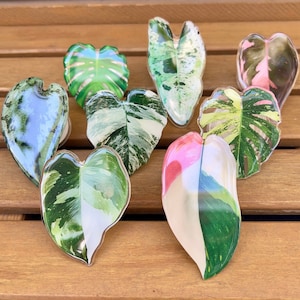 Mobile Phone Ring and Stand | Plant Lover Accessories | Phone Ring for plant enthusiast | Plant Leaf Phone Grip