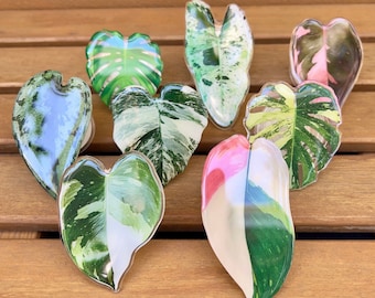 Mobile Phone Ring and Stand | Plant Lover Accessories | Phone Ring for plant enthusiast | Plant Leaf Phone Grip