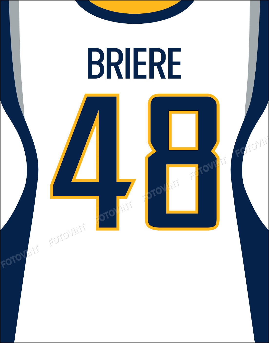 DANIEL BRIERE Jersey Photo Picture Art Buffalo SABRES -  Israel