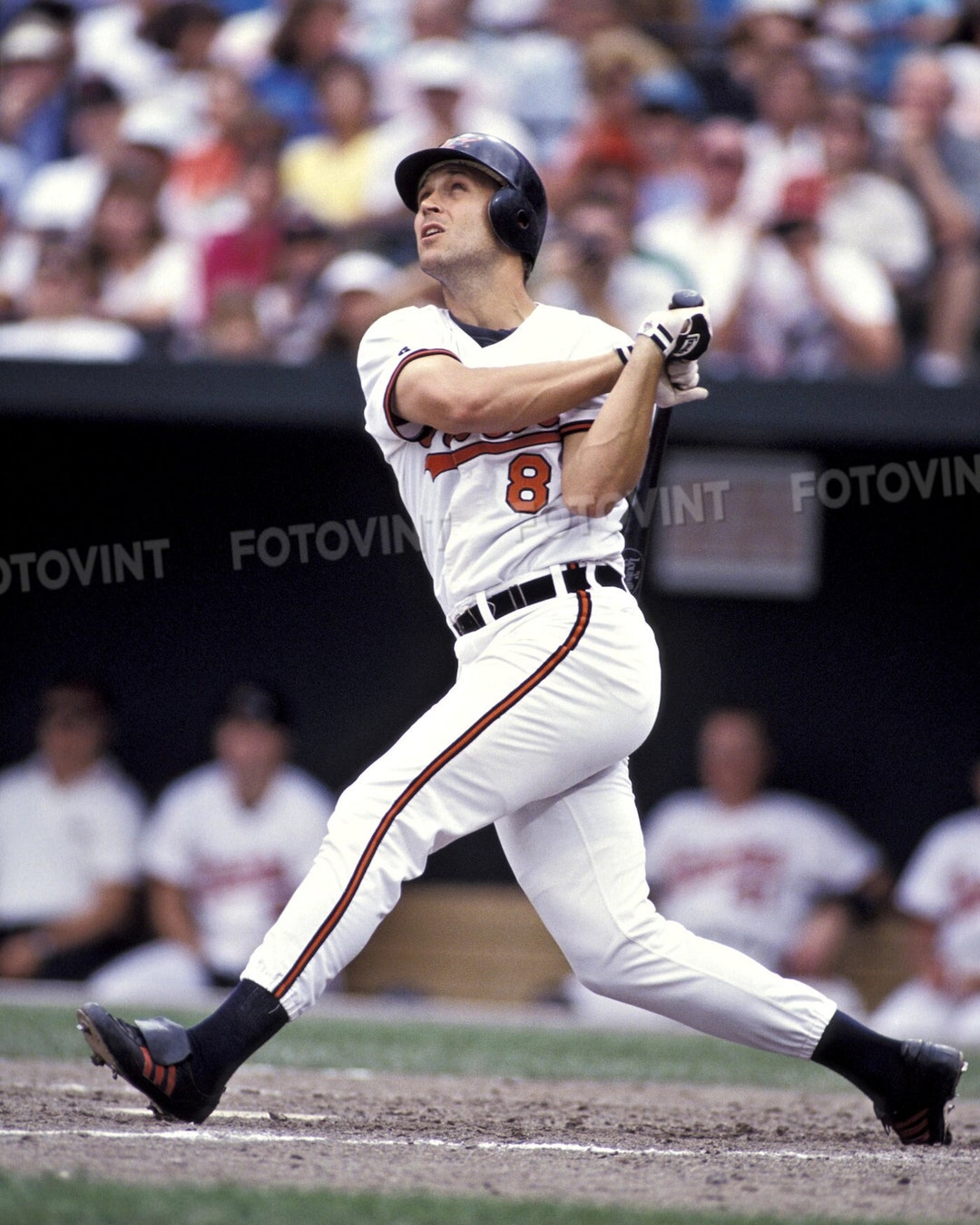 CAL RIPKEN Jr. Photo Picture BALTIMORE Orioles Baseball Photograph ...