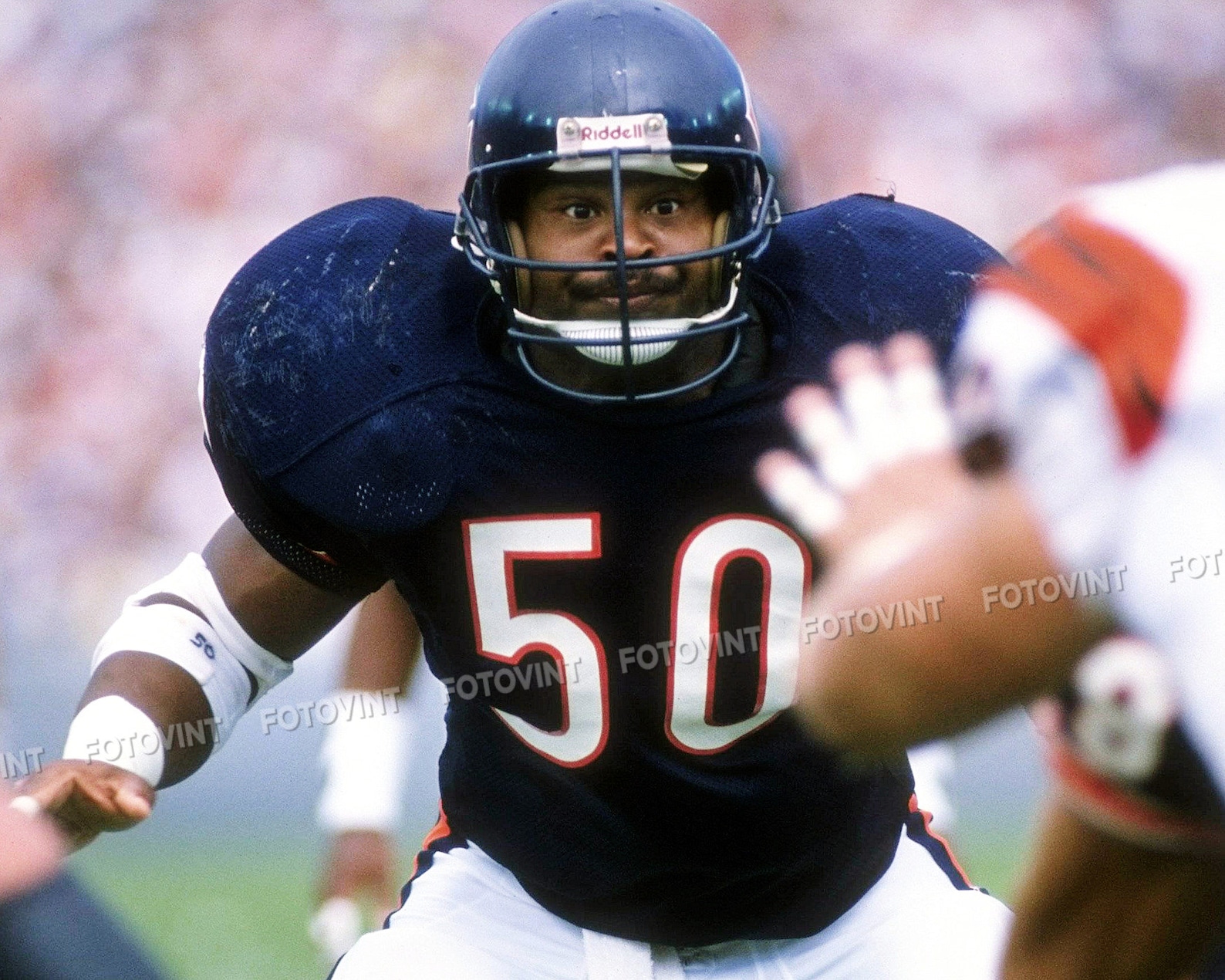 MIKE SINGLETARY Photo Picture CHICAGO Bears Football Photograph Print