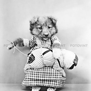 Vintage PUPPY Photo Picture DOG Patchwork Sewing Dressed up like People Old 1914 B&W Photograph Print 5x7, 8x10, 8.5x11, 11x14 or 16x20