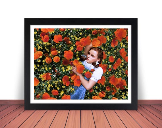 Framed WIZARD of OZ Photo Picture DOROTHY Asleep in Poppy Field