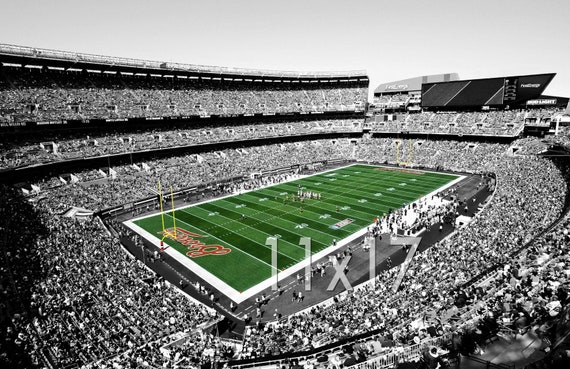 CLEVELAND BROWNS Photo Picture FIRSTENERGY Stadium Football 