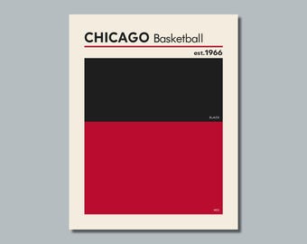CHICAGO BULLS comparable Basketball Color Swatch Photo Picture Poster - 8x10, 8.5x11, 11x14 or 16x20 (a)