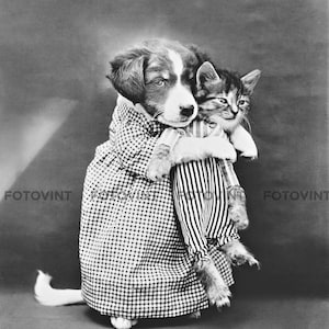 Vintage PUPPY KITTEN Photo Picture DOG Cat Dressed up like Nurse and Patient Old 1914 B&W Photograph Print 5x7, 8x10, 8.5x11, 11x14 or 16x20